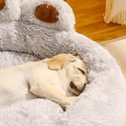 Cozy and Comfy Paw Dog Bed